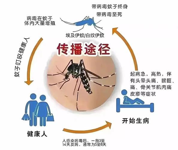深圳新增115例登革热病例 29个社区有传播风险