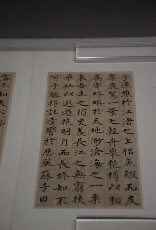 “千年英雄苏东坡”专题书法作品展在海口举办