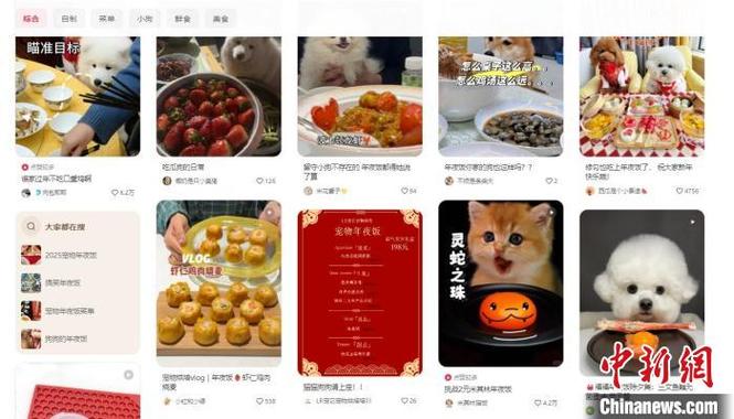 (新春走基层)宠物年夜饭热销 专家:“宠物+”跨界融合迎新机