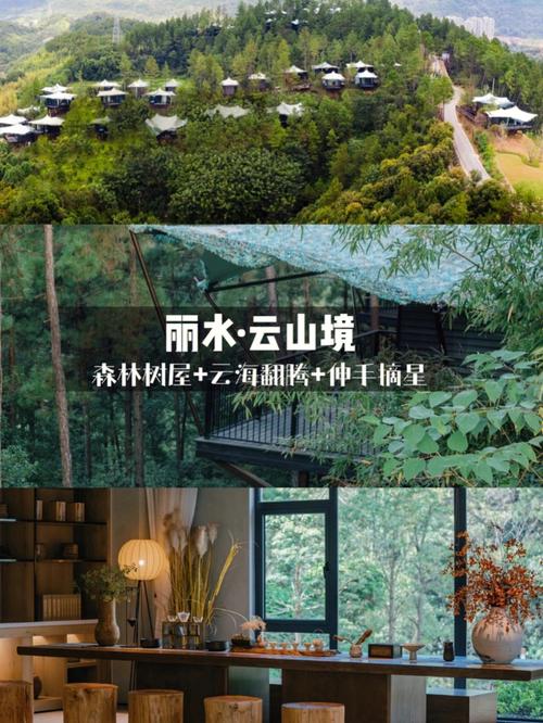遇见福建:夏日序曲,从森林研学开启