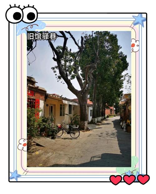 (新春走基层)在福建泉州寻觅“闽南美好生活”