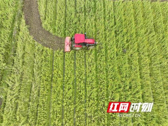 湖南切实抓好备春耕工作 全力打好春耕生产第一仗