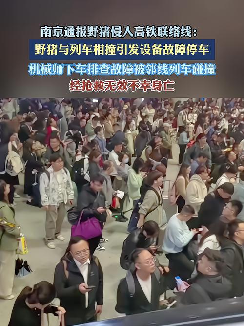 机械师下车排查处置故障被列车碰撞身亡 铁路南京站通报
