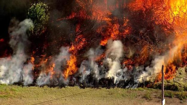 澳大利亚悉尼一工厂起火爆炸 附近居民被要求撤离