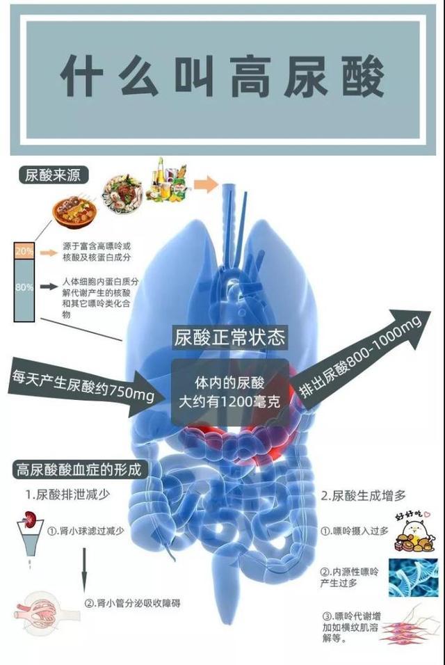 25岁小伙尿酸接近600,坚持这4个原则后,尿酸轻松降到300!