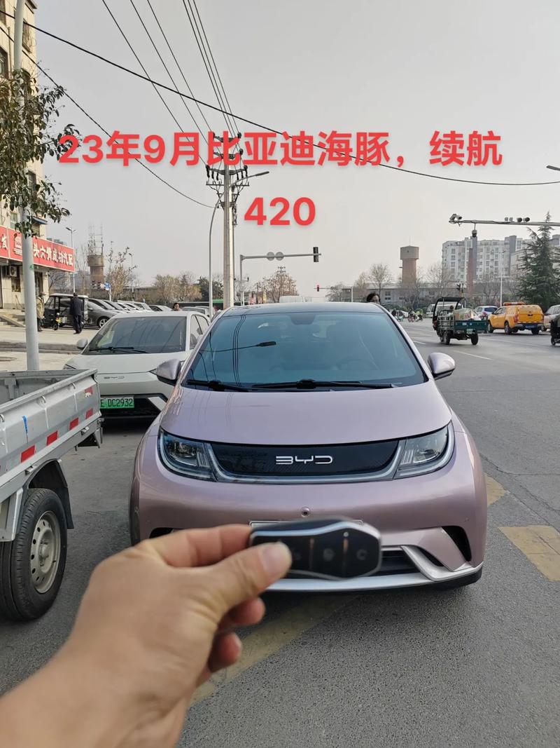 谁在买二手新能源汽车