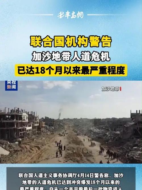 联合国机构:超37.6万加沙民众已返回加沙北部
