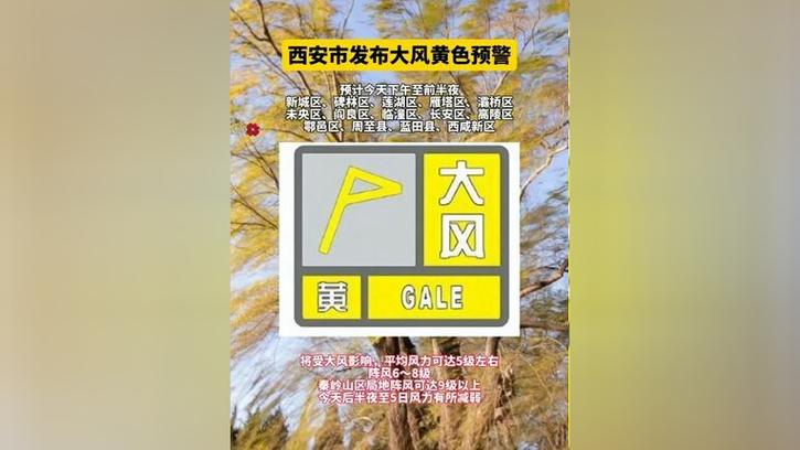 河北省献县发布大风黄色预警