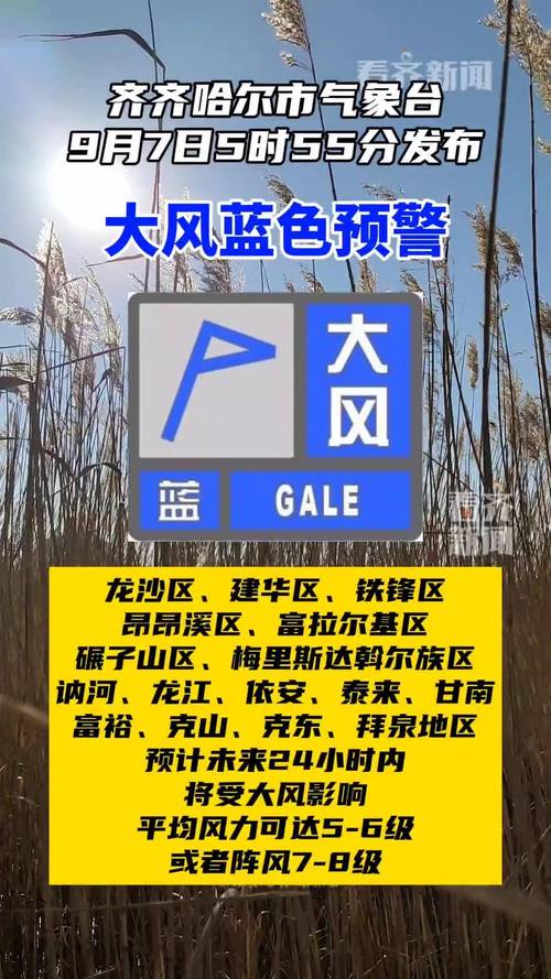 黑龙江省讷河市发布大风蓝色预警_7