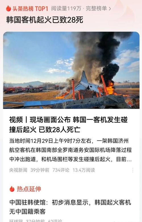 韩国客机碰撞起火事故已致120人死亡
