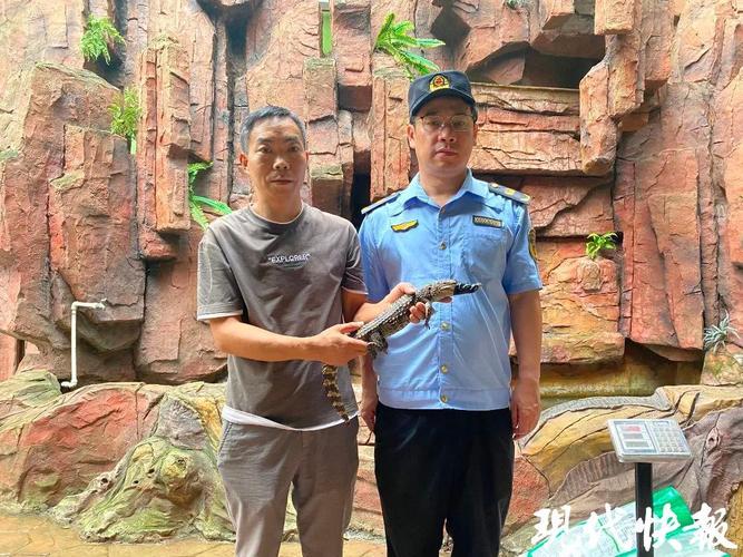 苏州一河道惊现暹罗鳄!