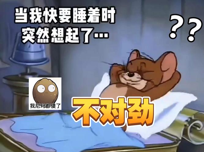 猫猫狗狗也会做梦、失眠