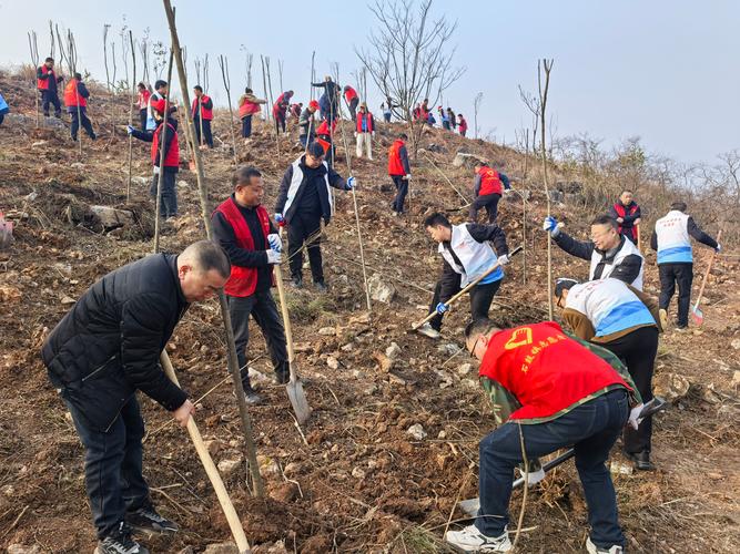 青海互助拉开2024年秋季全民义务植树活动序幕