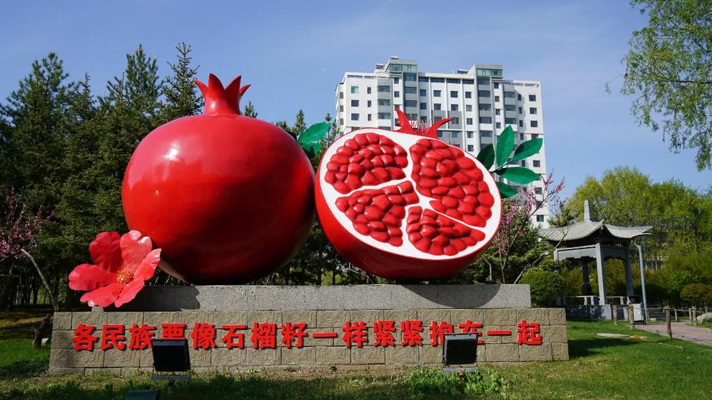 青海省西宁市已打造234家社区“石榴籽家园”