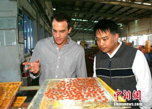 (新春见闻)“台商二代”在云南收获“双份浪漫”