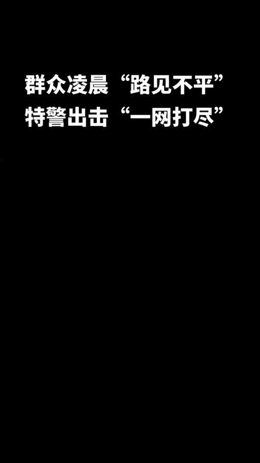 前保安冒充特警查车!每天凌晨4点出门“上班”……