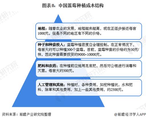 订单增长超1600%!商家进货都靠“抢”,水果“销冠”是它!
