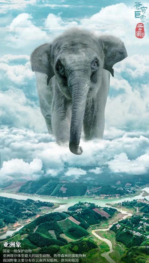 解码生物多样性保护的云南经验