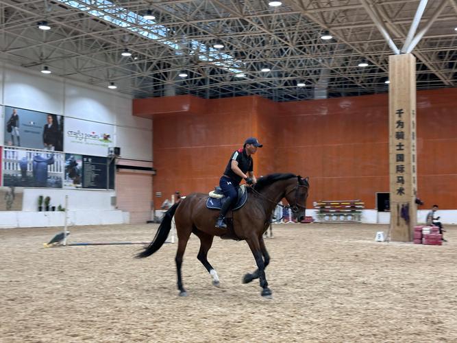 马术首“进馆” 拉动“马产业” 马术运动成为体育、文化产业新增长点