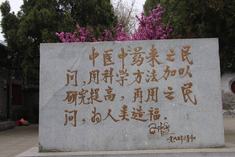 （新春走基层）基层中医师人气高 口口相传“带火”中医药文化