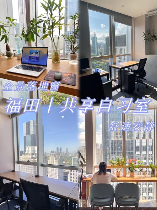 破解“看护难题” 成都高新区推出“假期共享自习室”