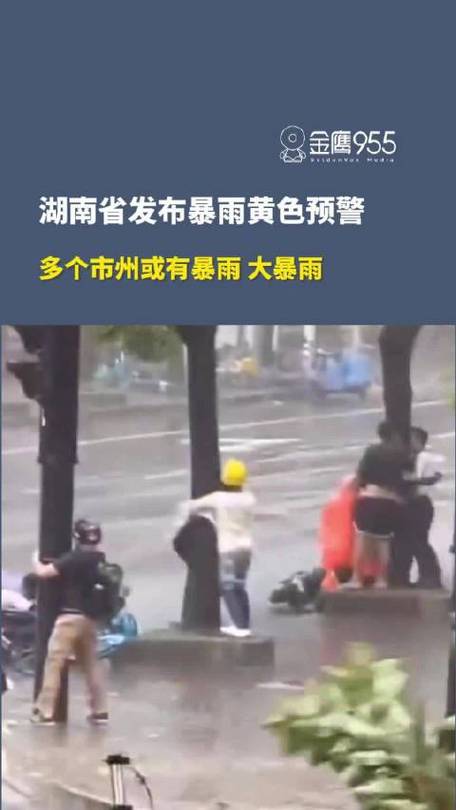 湖南省资阳区发布暴雨黄色预警_1