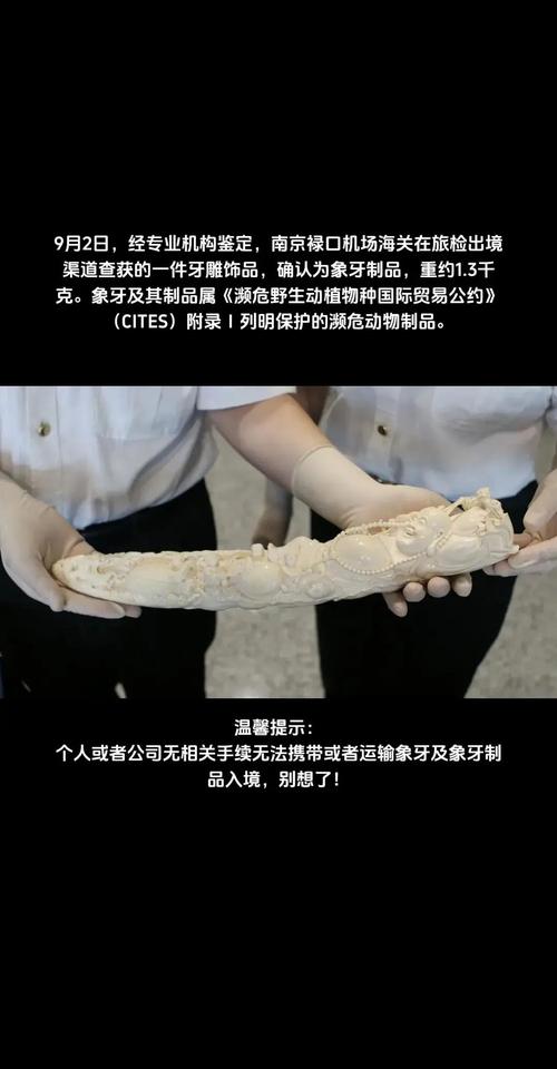 贵阳龙洞堡机场海关查获象牙制品,共重381.83克
