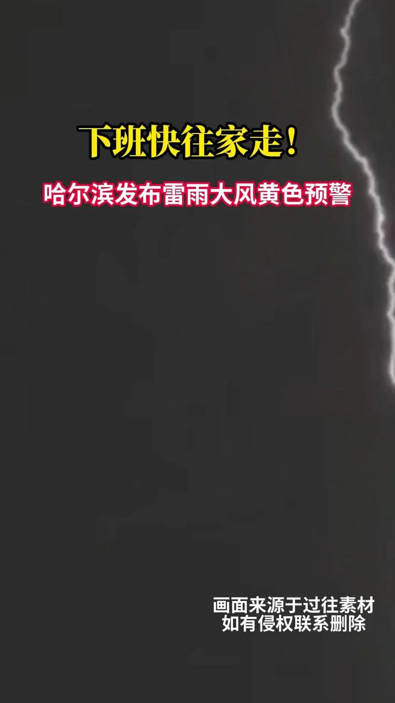 黑龙江省伊春市发布雷电黄色预警_1