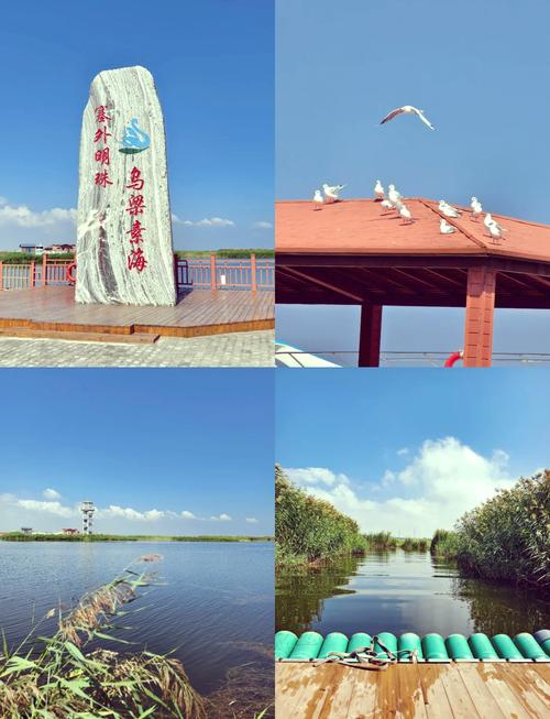 治湖泊→治流域 “塞外明珠”乌梁素海如何生机尽显?