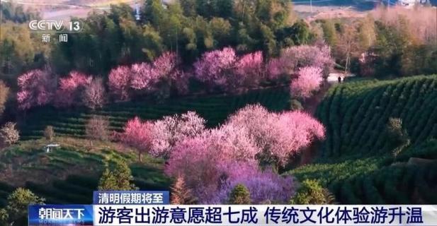赏花、踏青、登山成为假期最火“关键词” 各地“花经济”热度上涨