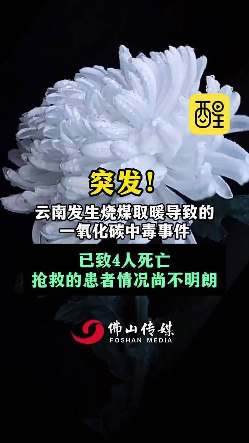 近期发生多起因取暖造成一氧化碳中毒事件 如何自救与施救？
