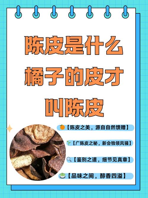陈皮香醇柑肉怎么处理？师生“变废为用”助力绿色生态发展