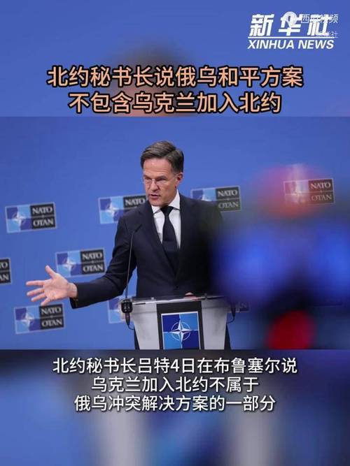 获绝大多数成员国支持 吕特有望接任北约秘书长