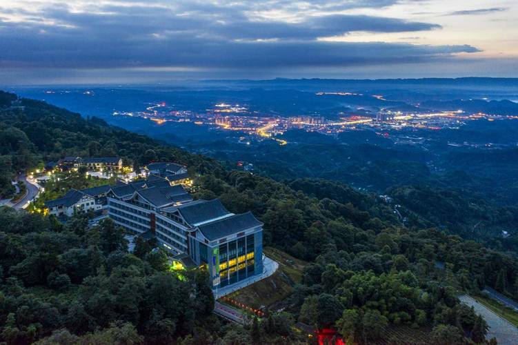 2025蒙顶山茶第一背篓茶在蓉城上市
