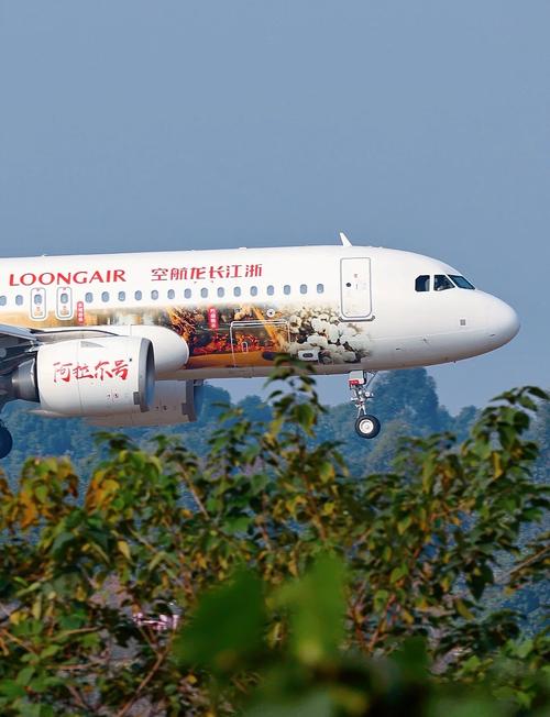 长春机场迎接浙江长龙航空飞机餐研发基地考察