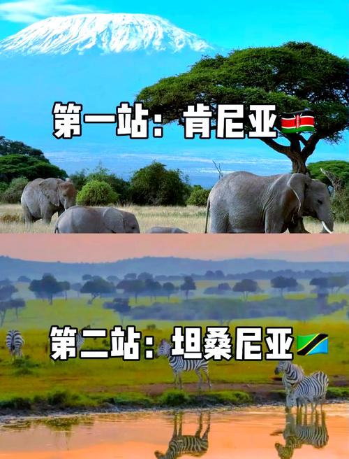 迷上大草原的动物迁徙 非洲游今年急速升温