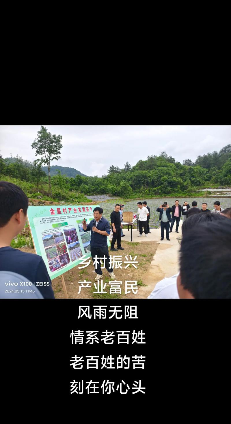 (乡村行·看振兴)江西庐山:金银花产业铺就百姓致富路
