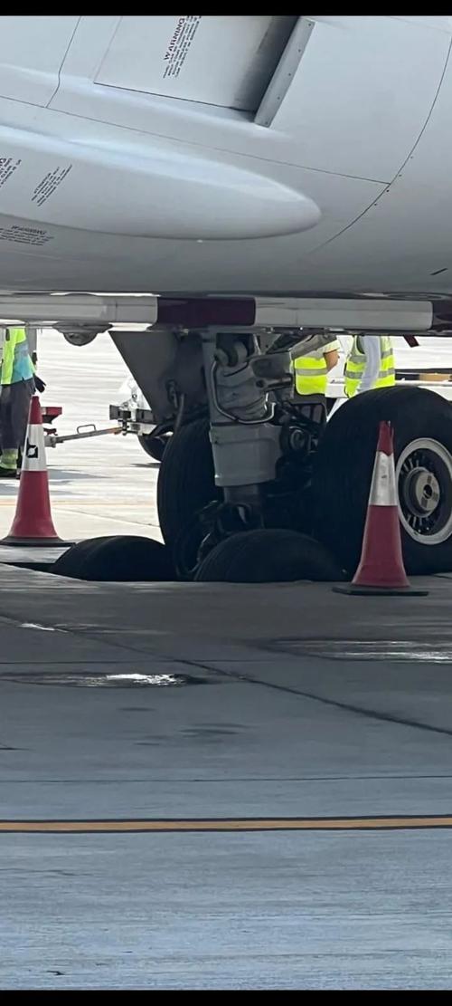 奥地利航空客机遇冰雹袭击机头受损 安全降落维也纳