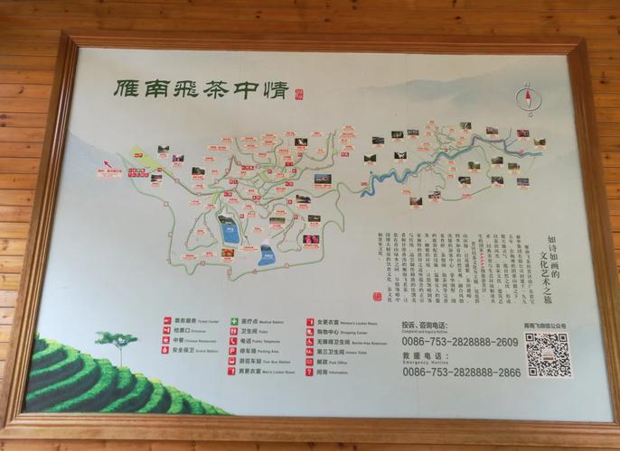 (乡村行·看振兴)南茶迁徙植江北 豫中山村变“茶乡”