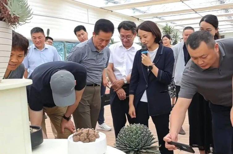 江苏沭阳:为80名乡贤调解员“加钢淬火”