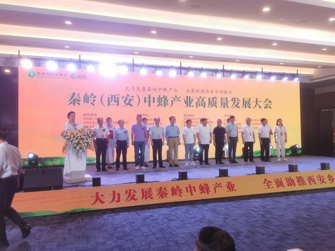 高质量发展调研行｜秦岭脚下乡村致富经