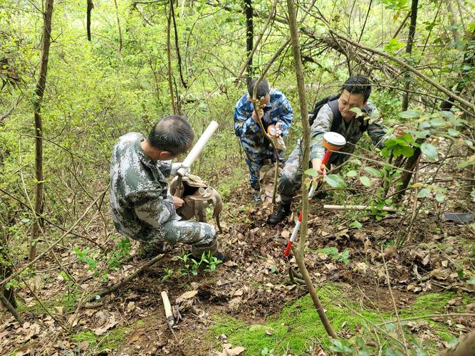 青海全面完成林草湿生态综合监测工作