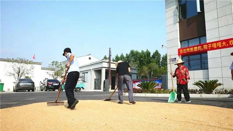 院子嘎嘎大,欢迎来晒粮!山东多地公共场所“开院晒粮”