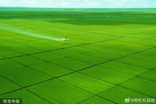 黑龙江肇东市——护好黑土地 增收有底气(产粮大县探丰年)