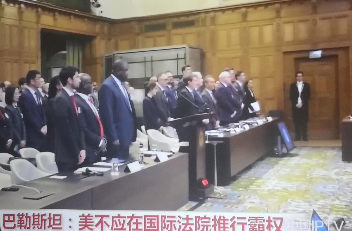 中国参与国际法院巴勒斯坦被占领土咨询意见案口头程序