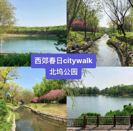 北京天气晴好 北坞公园春色秀丽