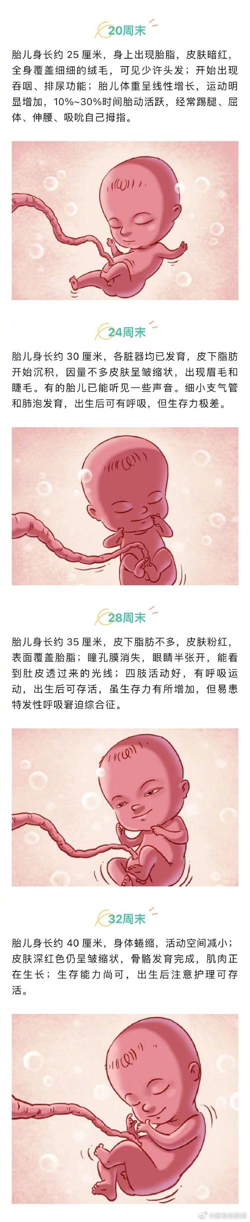 韩国诞生首例自然受孕五胞胎