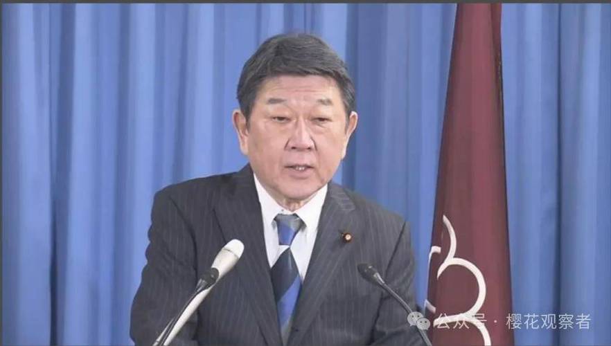 茂木敏充宣布参选自民党总裁 曾憧憬古墓考古