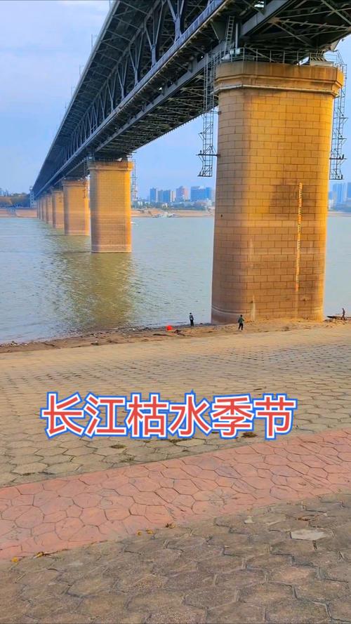 长江水位继续上涨 原池州港客轮码头区域受淹