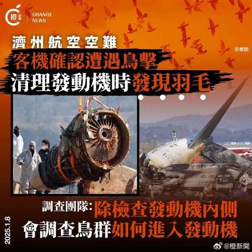 韩国国土交通部:推测事故由飞机撞上鸟群引起